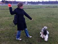 November 2010 - auf dem Tempelhofer feld 