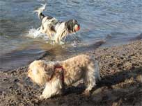 Medi_und_Tiffy_am_Grunewaldsee