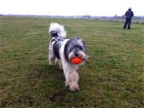 November 2010 - auf dem Tempelhofer feld 