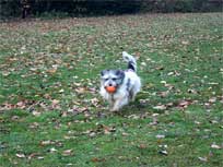 November 2010  - Treptower park