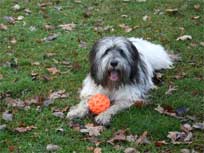 November 2010 -  Medi im Treptower Park