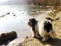 Februar 2011 -  Medi an Schlachtensee