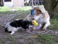 Nein, ich komm hier nicht mehr runter !!