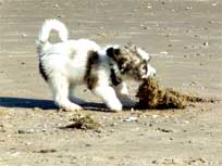 August 2011 -  Medi - im Zoo