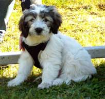 Oktober 2011  - Kiwi