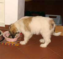 Oktober 2011 Penelope (Polly)