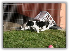 Kaspian, Silas und Frodo warten auf ihr Taxi