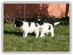 Nala und Holly auf Expedition