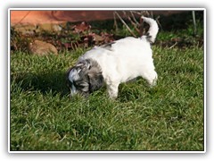 Silas auf Entdeckungsreise