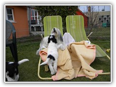 Wird der denn niemals mueüde