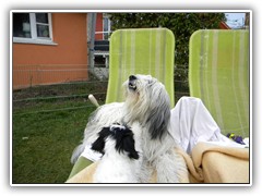 Wird der denn niemals muede II