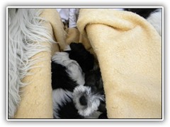 Wwir passen da alle rein