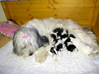 16.01.14 - berfall ! oh,oh- wir krabbeln schon! 