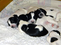 15.01.14 - Schlaftabletten Nr.1