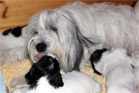 29.01.2014 - Ran an die Milchbar !