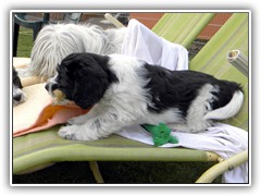 Bildergalerie IV - 05.03.2014