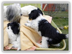 Bildergalerie IV - 05.03.2014