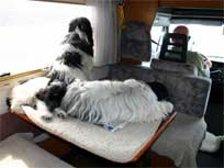 M-Wurf - Sommer 2008